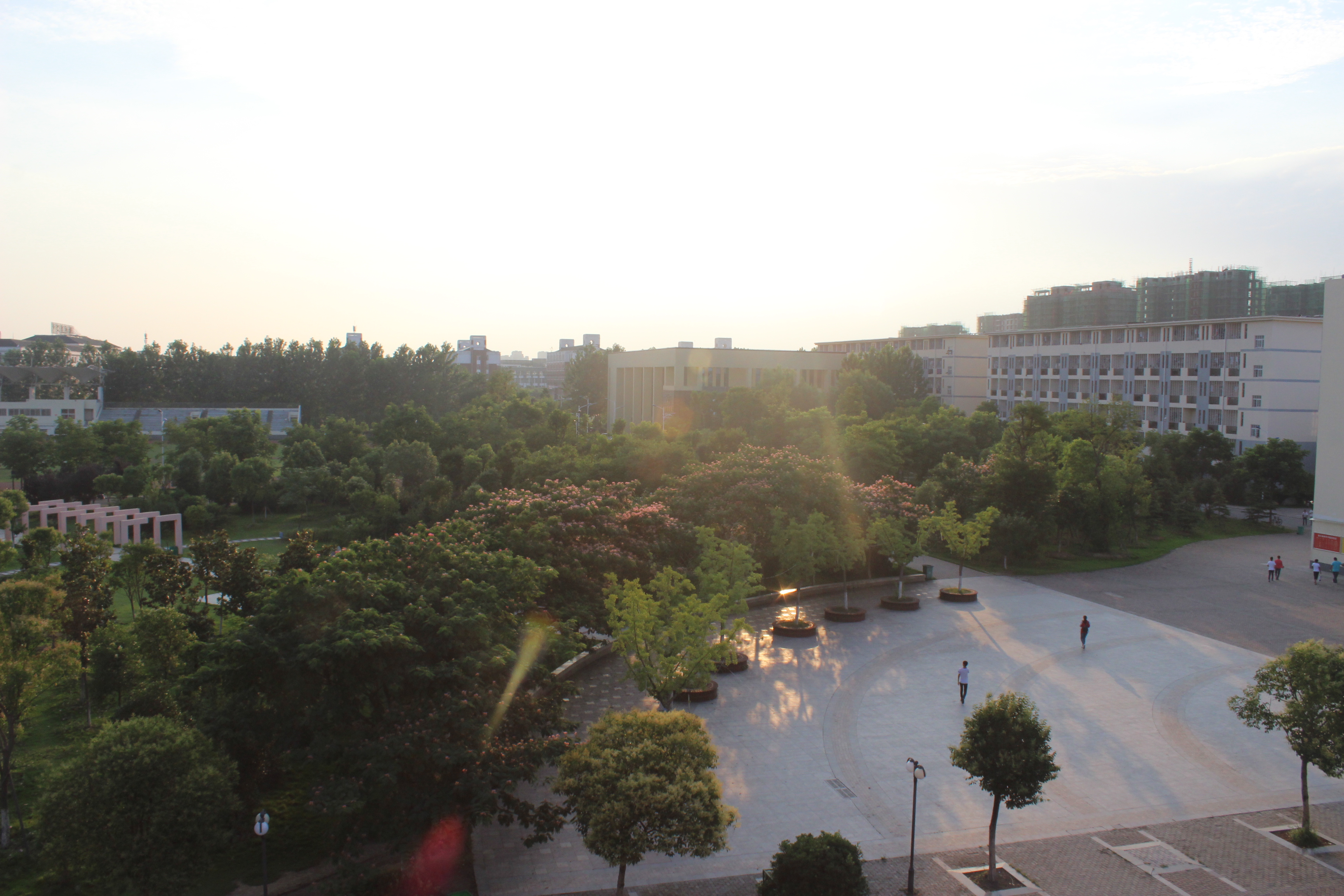 利辛县高级中学