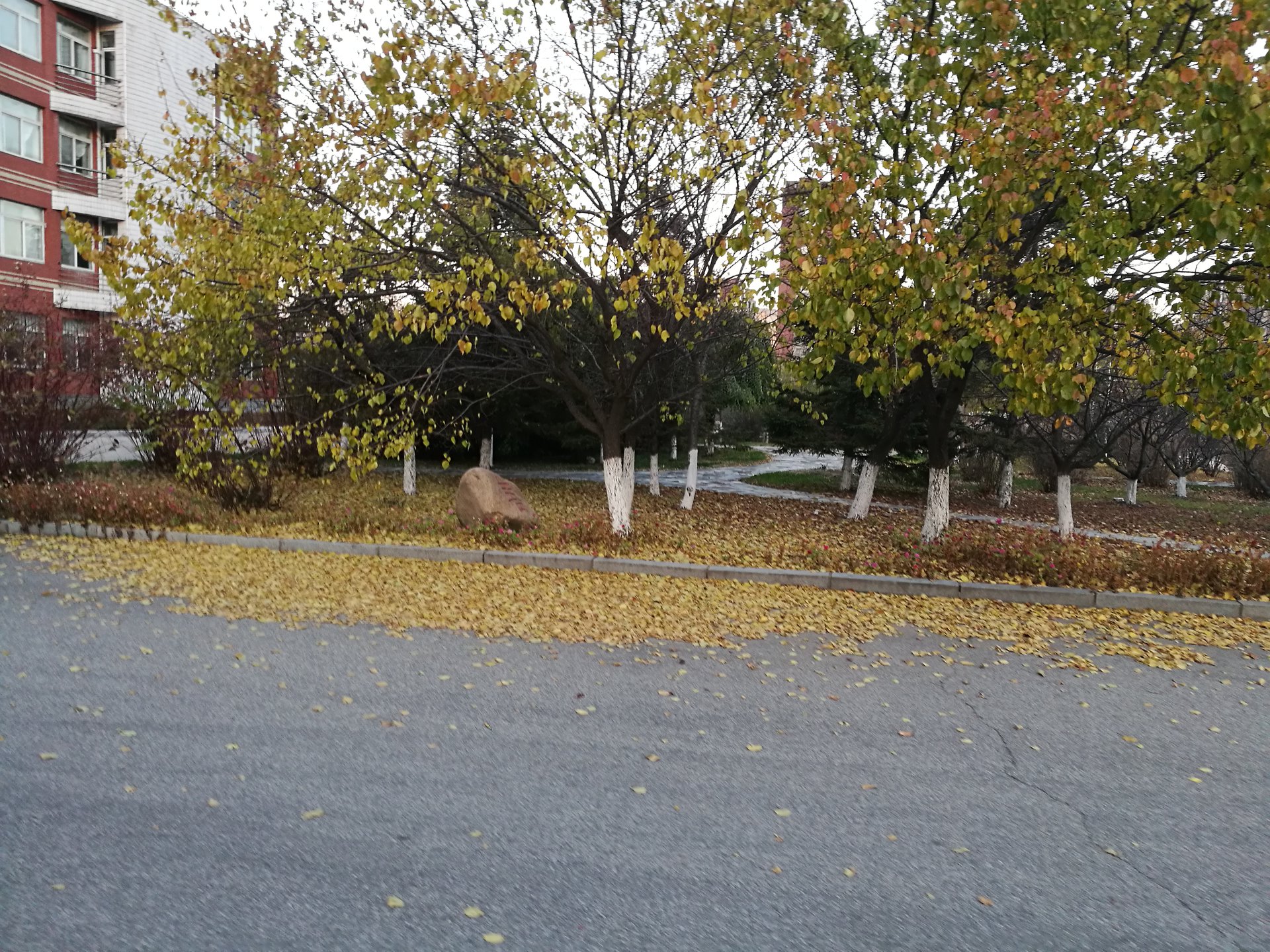 抚顺市第二中学简称抚顺二中,是辽宁省首批示范性高中之一,素有"