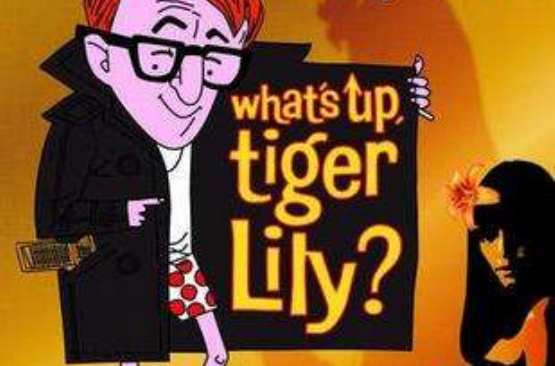 出了什么事,老虎百合?what