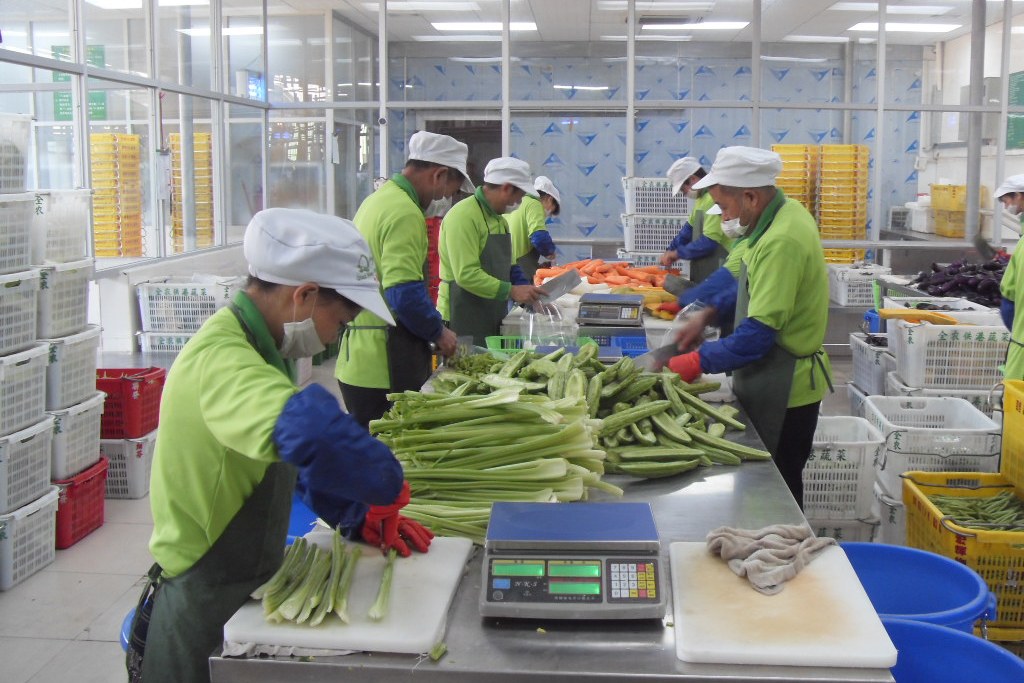 蔬菜加工