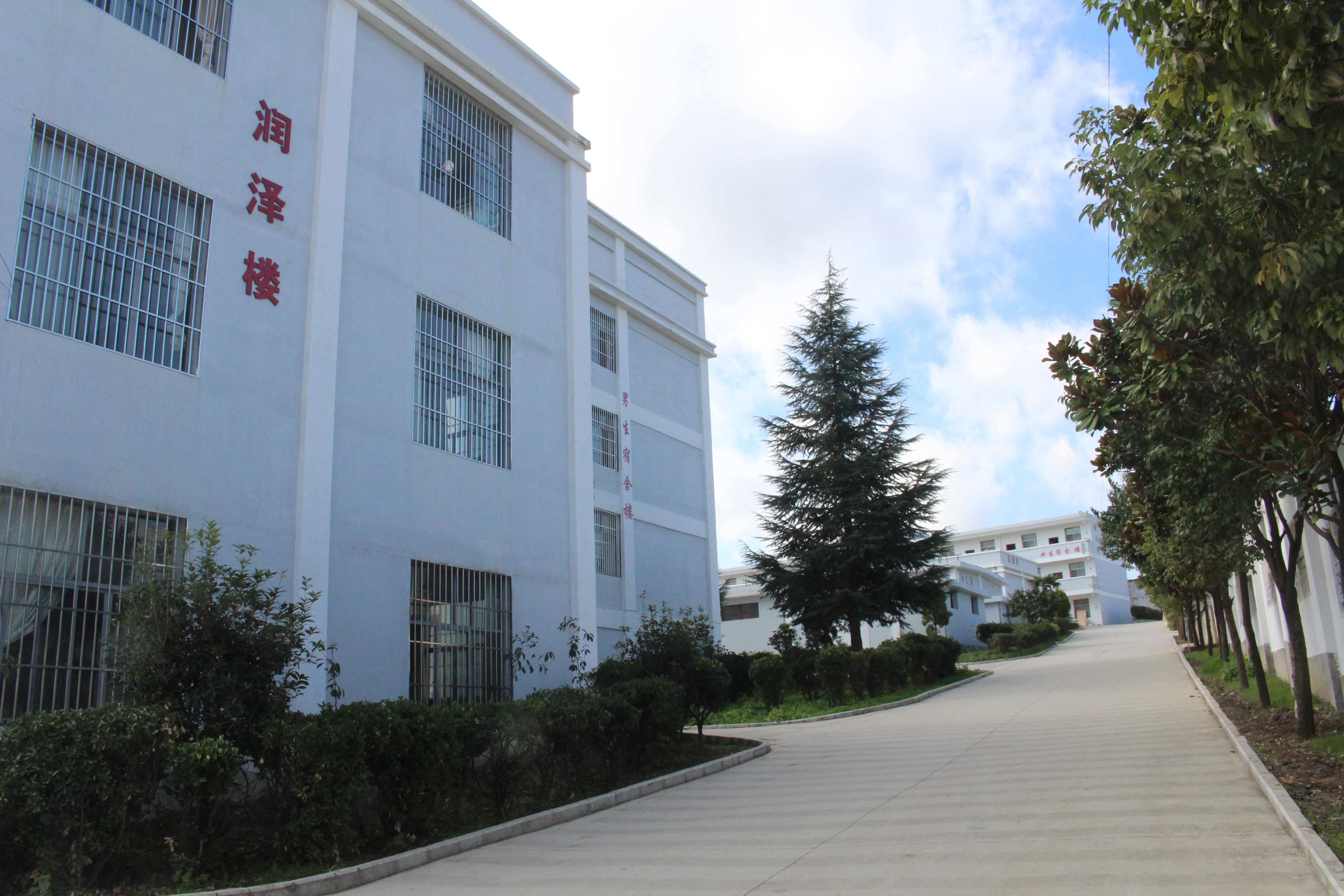 艾斯实验中学