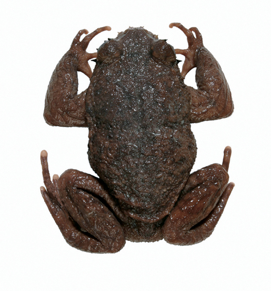 大连自然博物馆