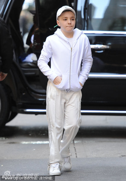 州底特律,意大利裔美国女歌手,词曲作者,演员,欧美"四大天后"之一