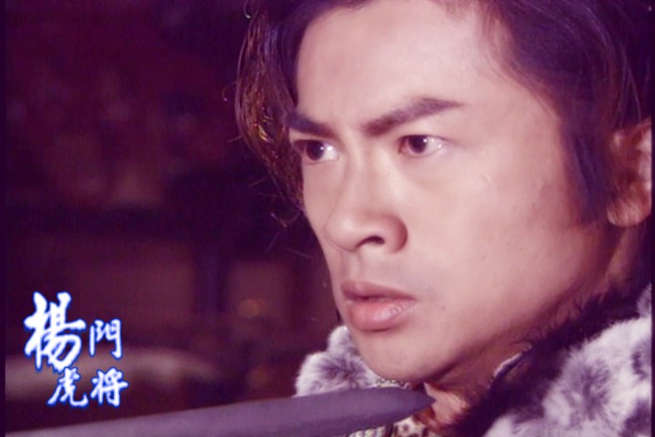 《杨门虎将》是2004年由华新影视和北京天中文化联手制作的33集古装