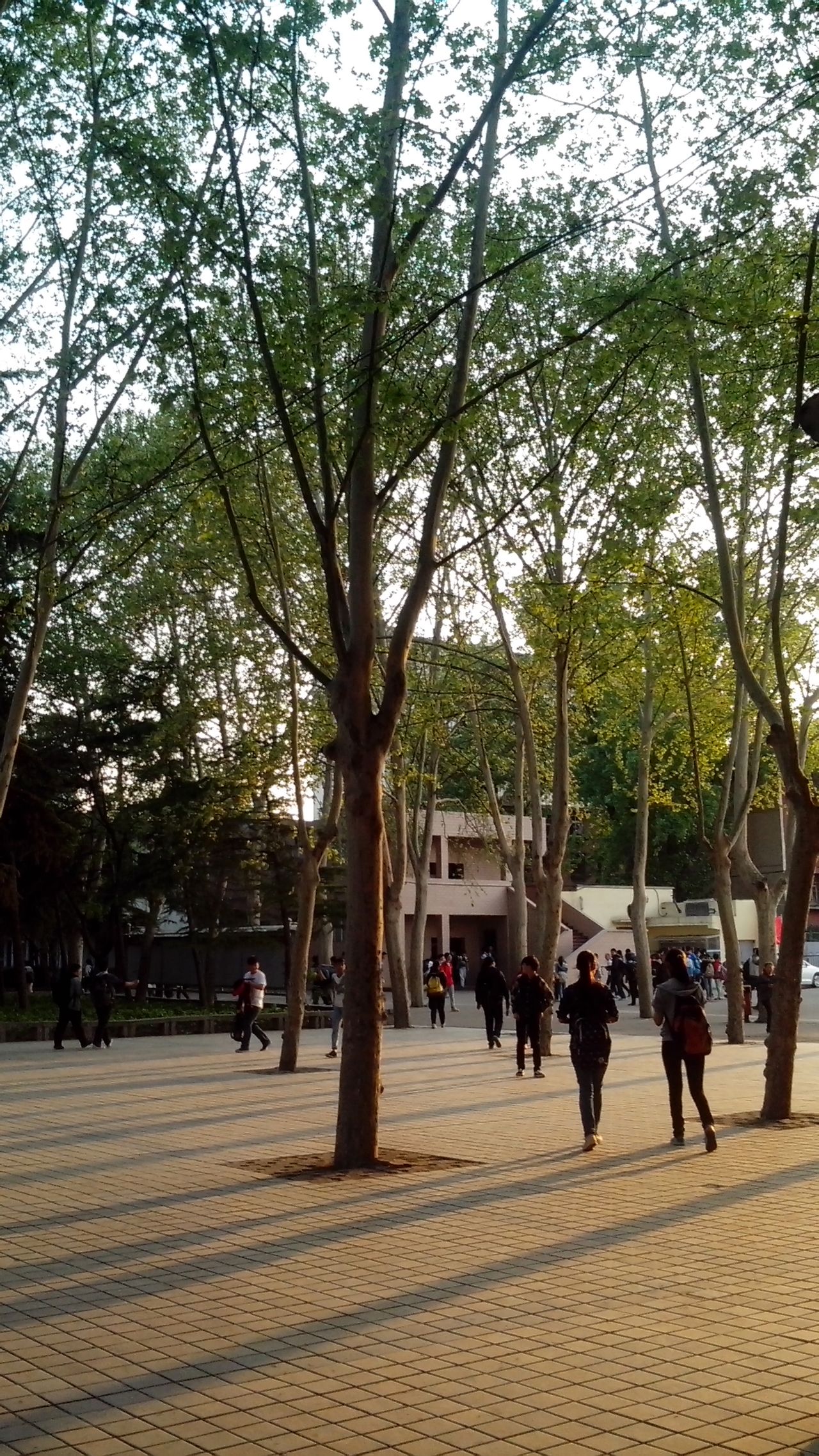  p>东方二中原名拖二中,位于十三朝古都洛阳,有着丰厚的文化底蕴,是