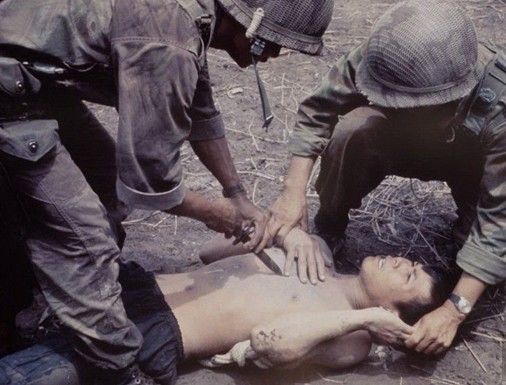 盖尔语为seal,一般生活在英国的奥克尼郡或设得兰群岛附近的海域