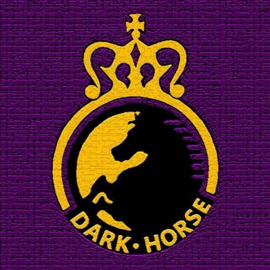 茂名通宝黑马足球队_百度百科