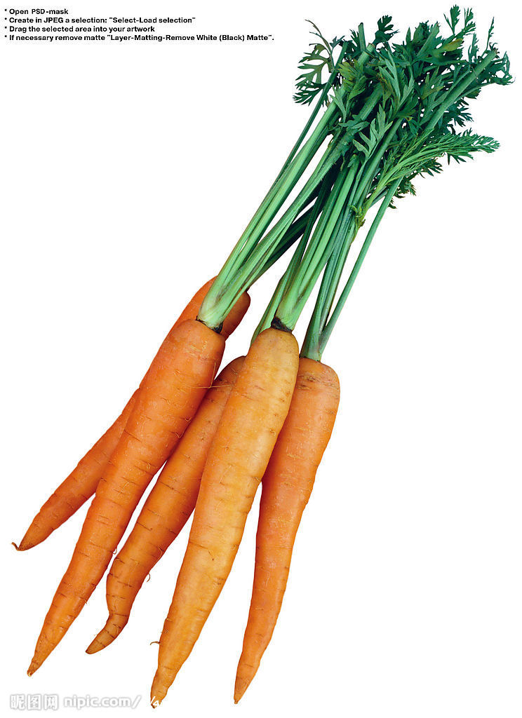  p>胡萝卜(学名: i>daucus carota /i> var.  i>sativa /i> hoffm.