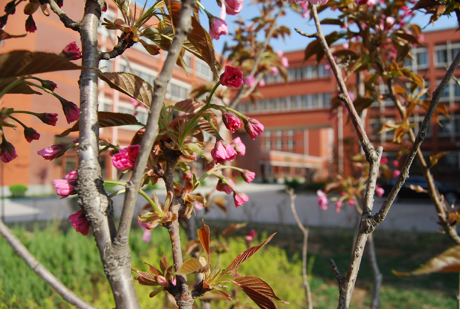 山东职业传媒学院