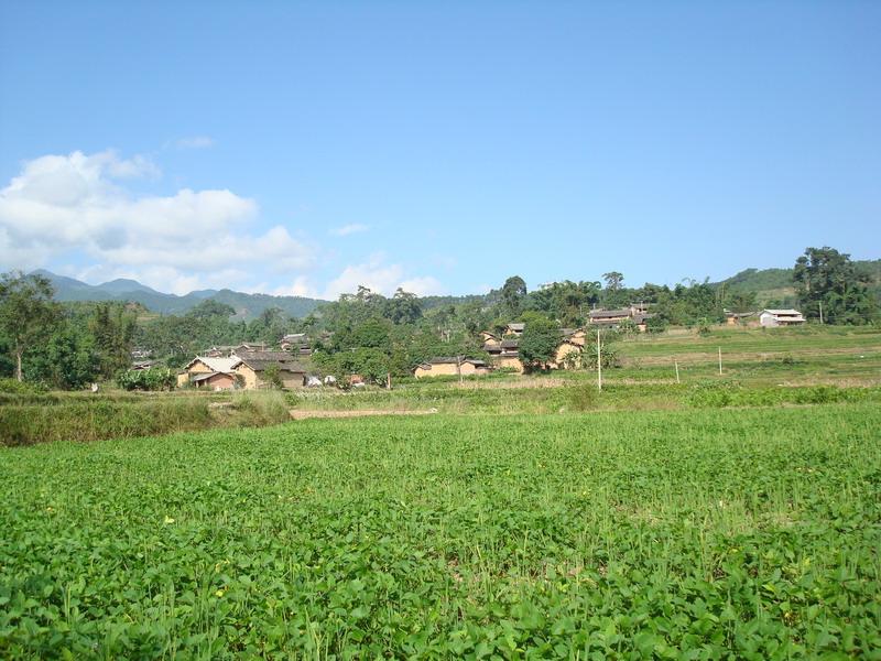 3h535n9g">杨哪村隶属于云南省普洱市景东彝族自治县文井镇清凉村委会