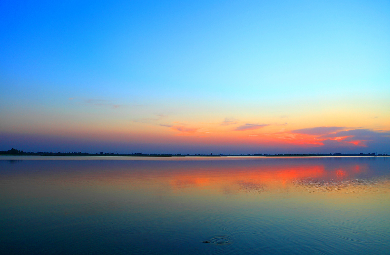  p>盐城,位于江苏省北部,这里风景秀丽.
