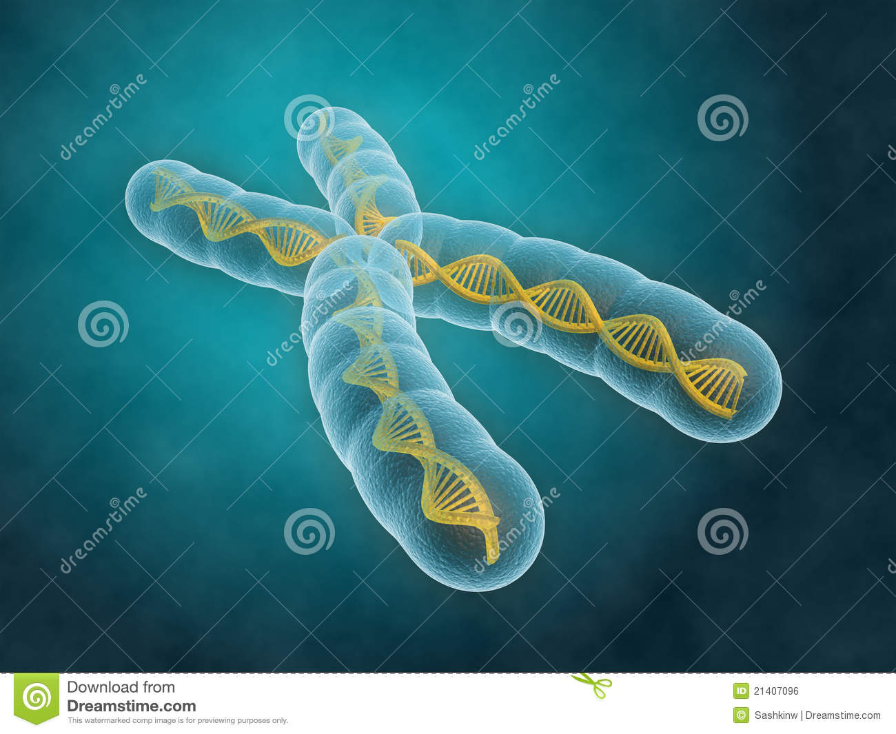  p>常染色体指染色体组中除 a target="_blank" href="/item/性染色体