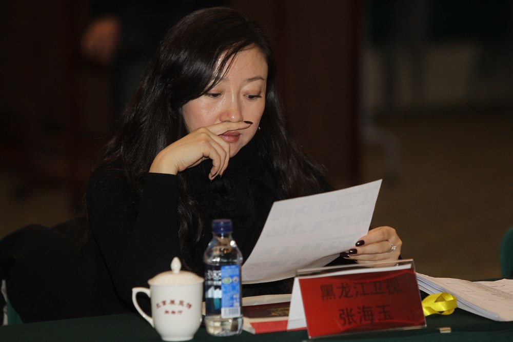 搜狐电视剧盛典