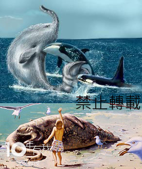  p>长毛鱼(trunko )有着大如 a href="#" data-lemmaid="37683">鲸 /a