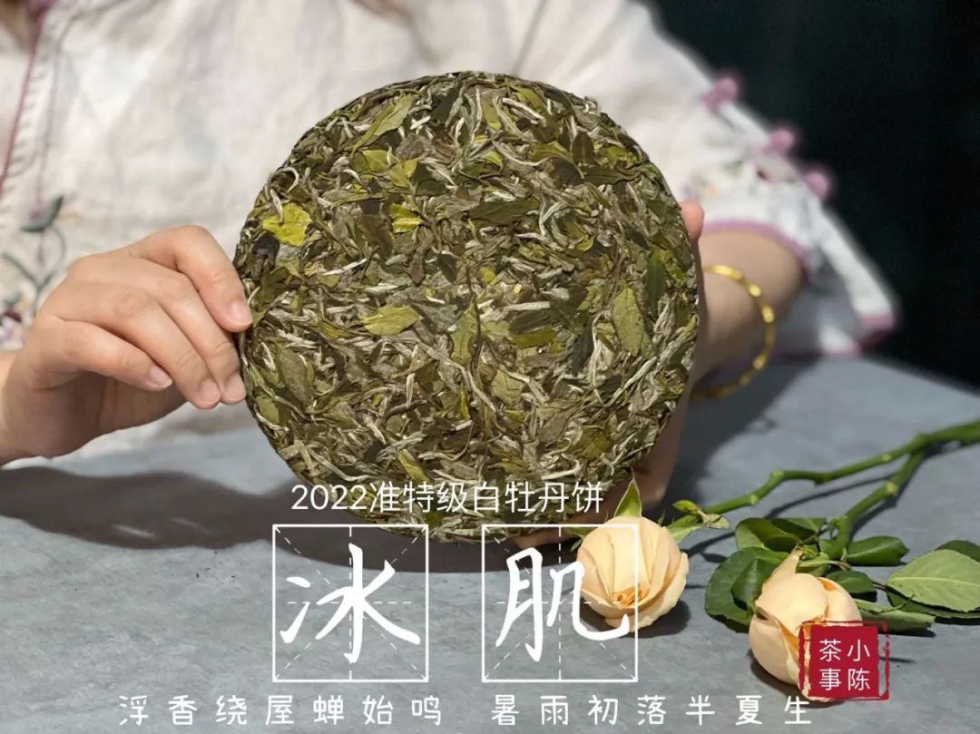 从 紧压白茶 国标 看清4点白茶压饼的真相 曝光茶掌柜的套路 百科ta说
