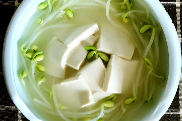 豆芽豆腐汤
