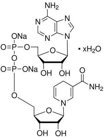  p>nadh(nicotinamide adenine dinucleotide)是一种化学物质,是 a
