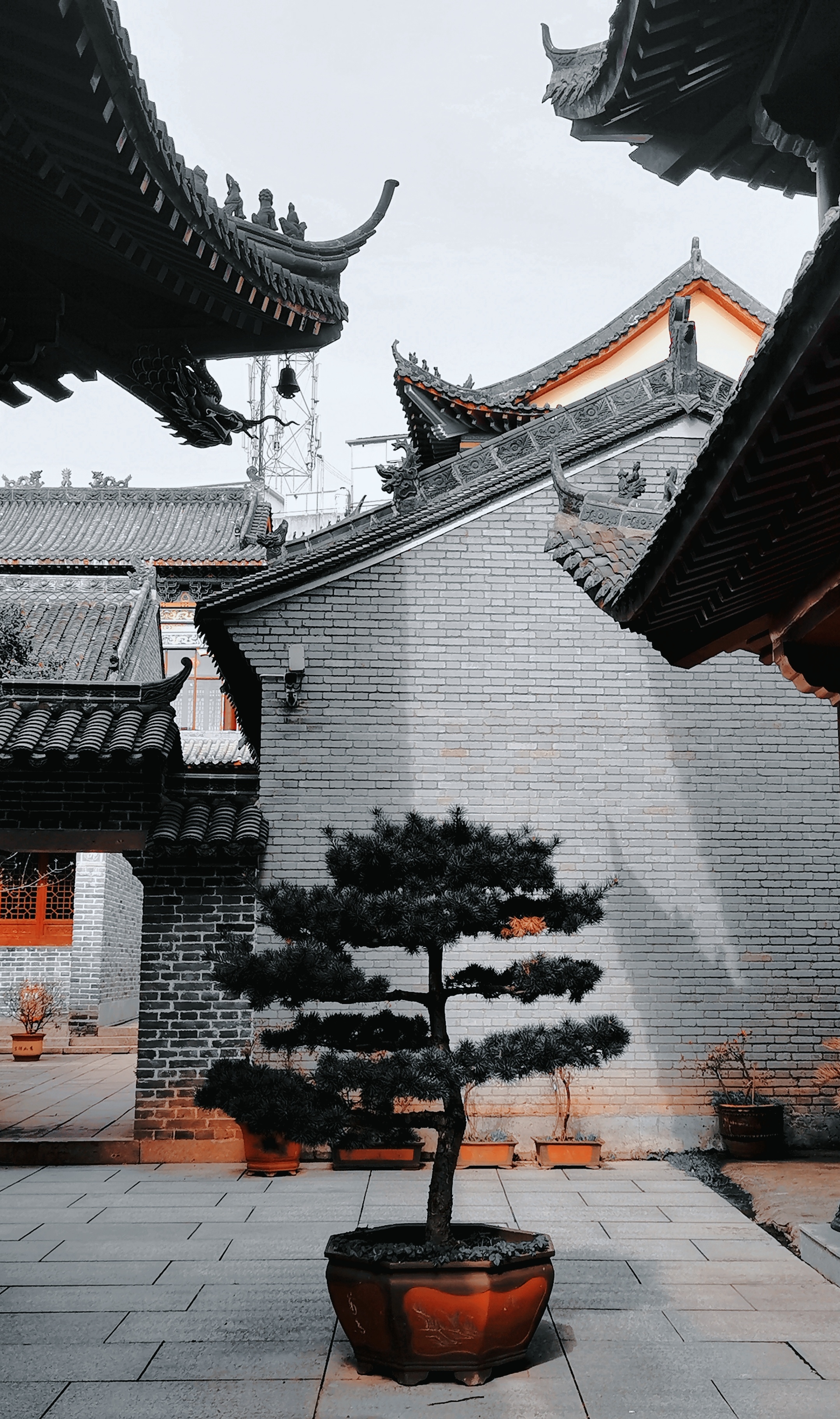 朝阳寺