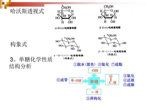  p data-id="gnwtisuvq0">哈沃斯投影式(英语:haworth projection),是