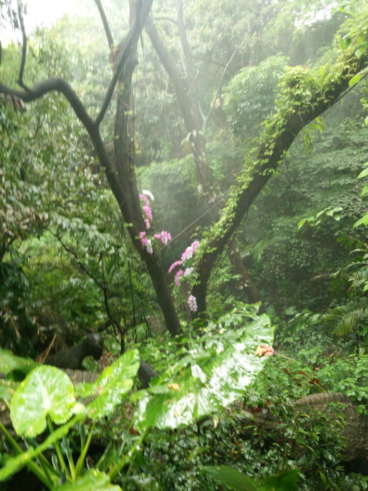 青青世界旅游区