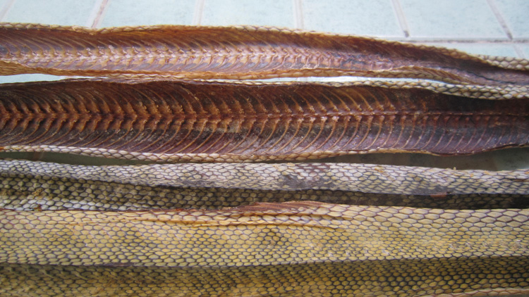  p>海蛇肉干是一道以海蛇肉等为主要食材制作的食品. /p>