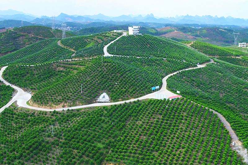  p>大塘镇,广西壮族自治区桂林市荔浦市下辖镇,位于 a target="_blank