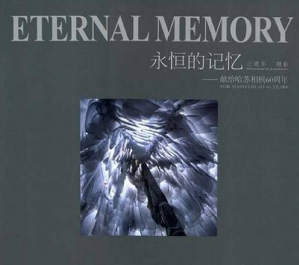 永恒的记忆