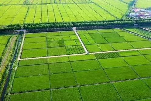 高标准农田建设标准