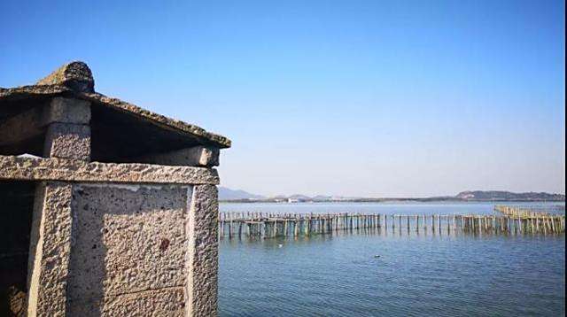 <p>犭央犭茶湖避塘风景图