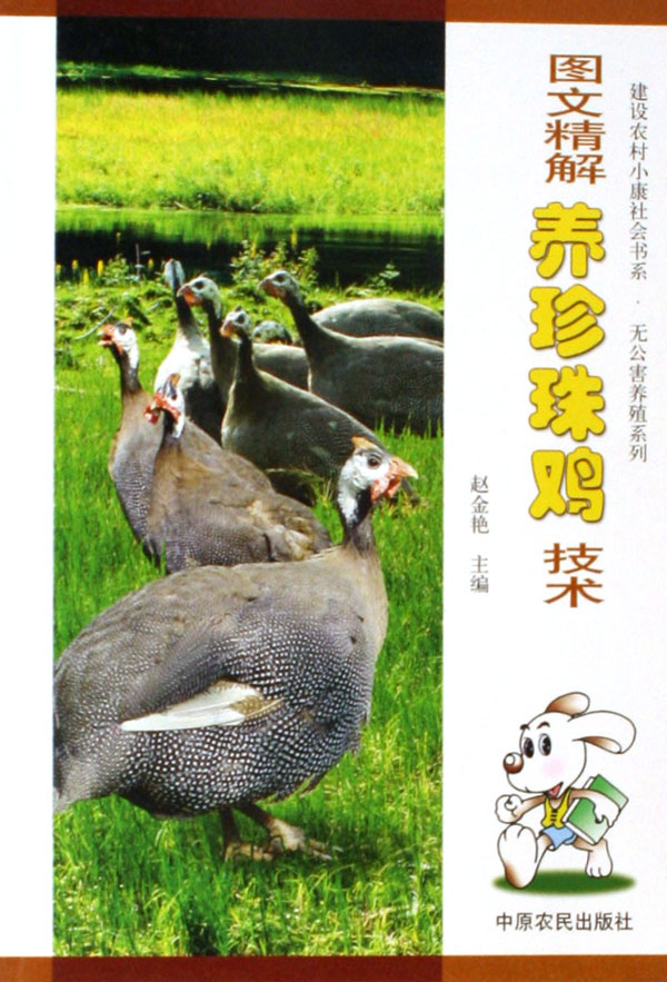图文精解养珍珠鸡技术