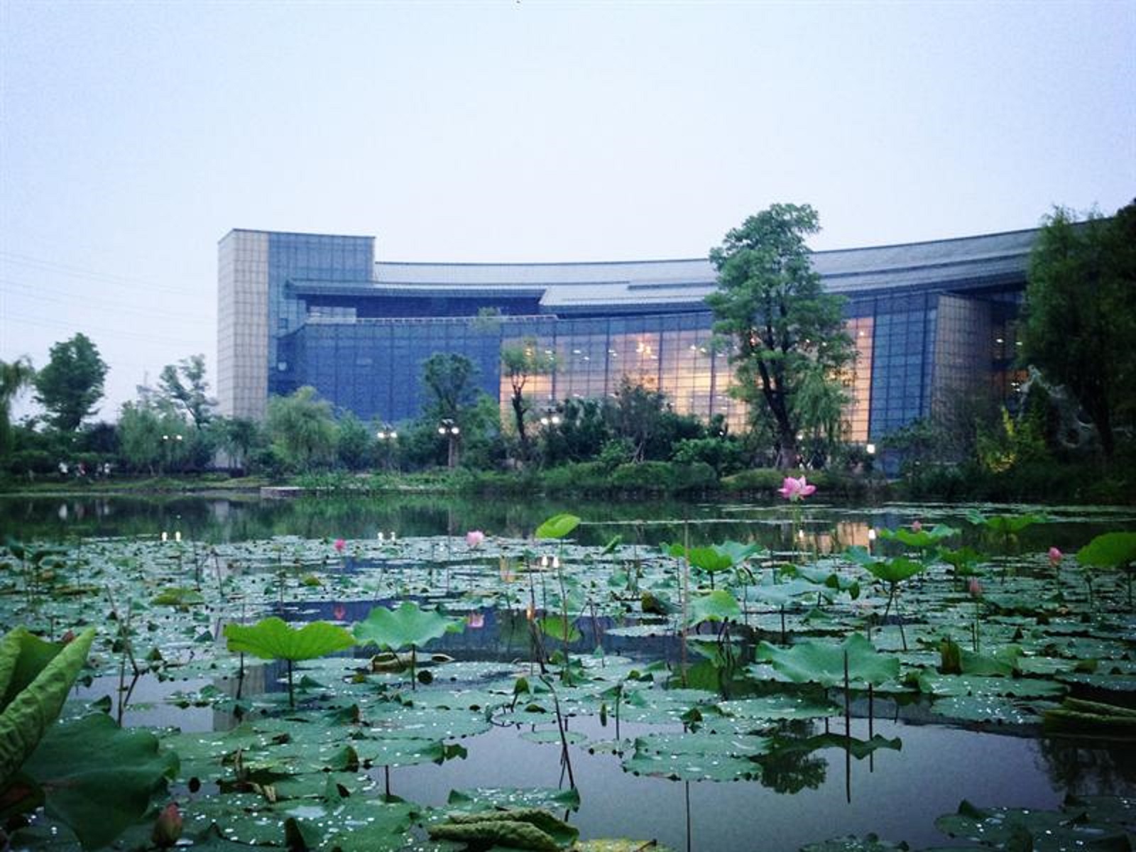 浙江旅游职业学院