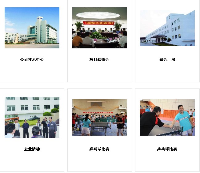 广东明珠集团股份有限公司