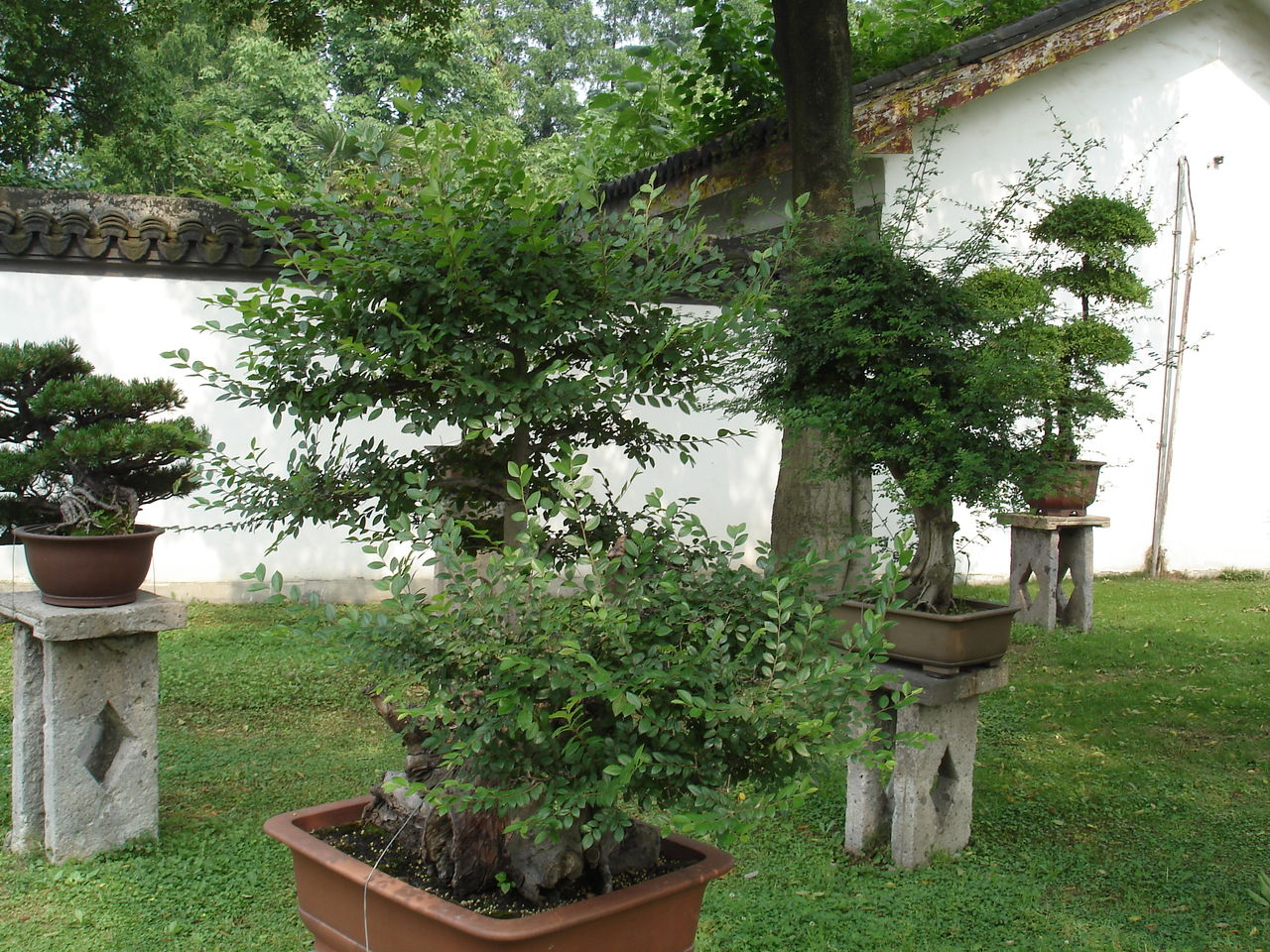 shanghai botanical garden