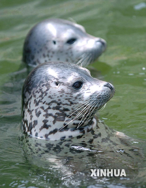  p>白海,白海是北冰洋的巴伦支海(barents sea)伸入欧洲的俄罗斯部分