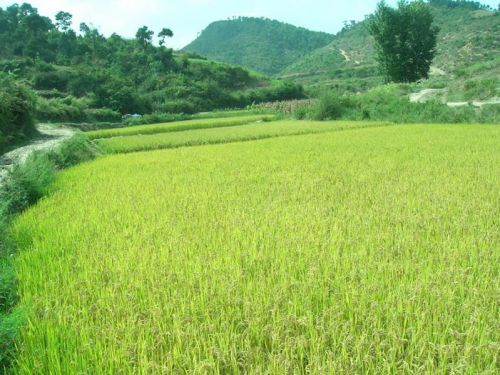 石灰窑村
