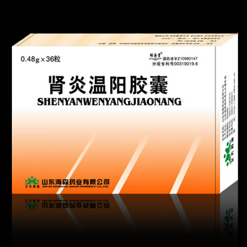 肾炎温阳胶囊