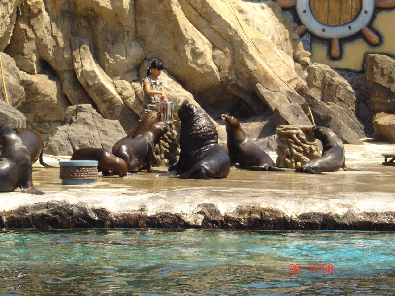 大连市老虎滩海洋公园