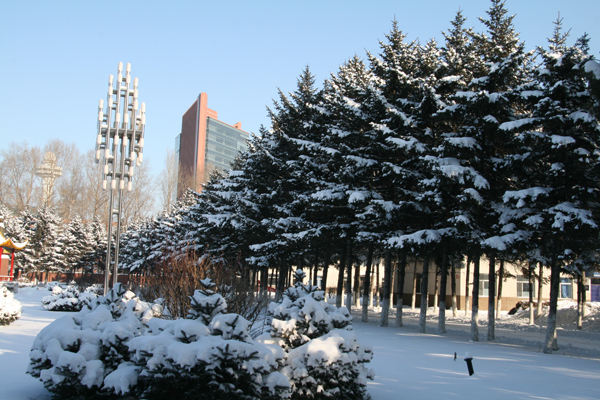 佳木斯职业学院