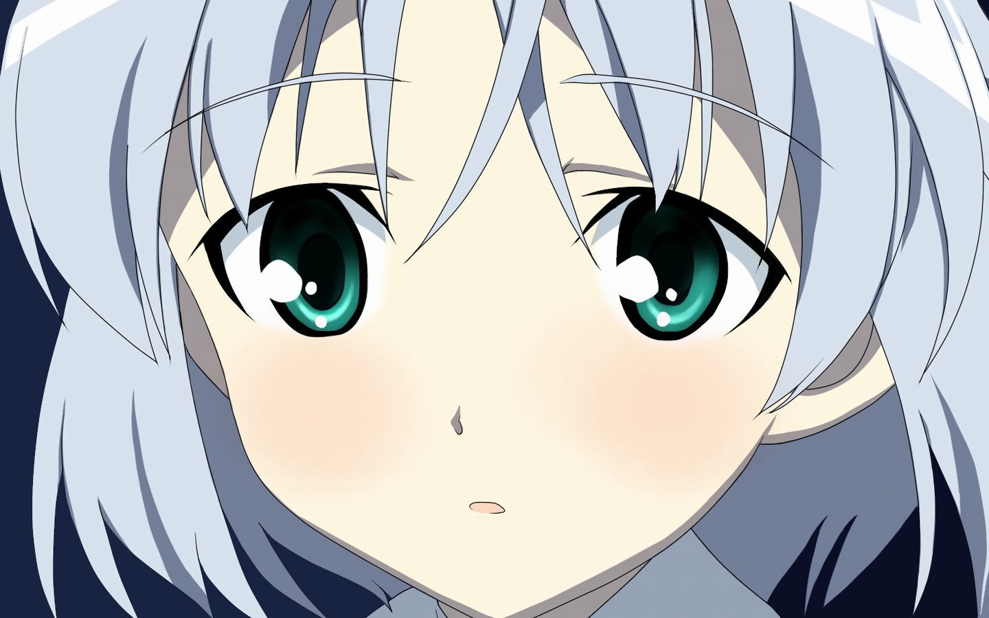 桑妮亚   v   利特维亚克