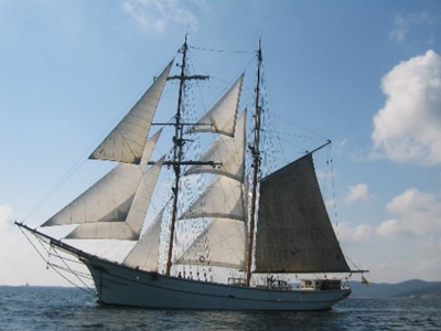 data-lemmaid="359399">帆船 /a>是最早出现的帆船,船上装的是"横帆"