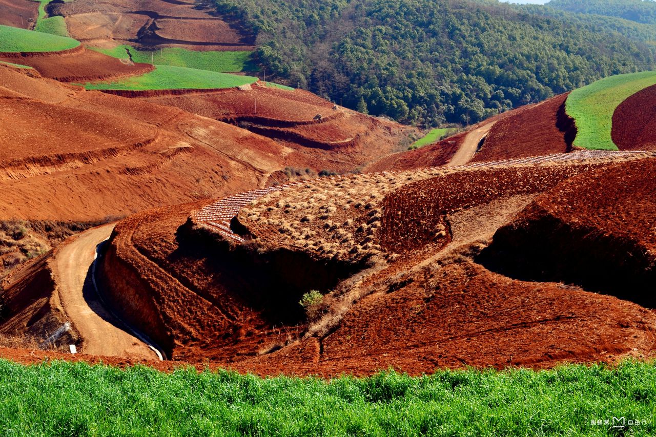 东川红土地景区
