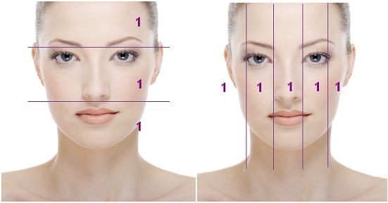 黄金比例脸