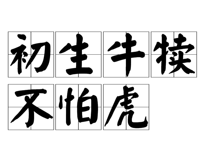 初生牛犊不怕虎