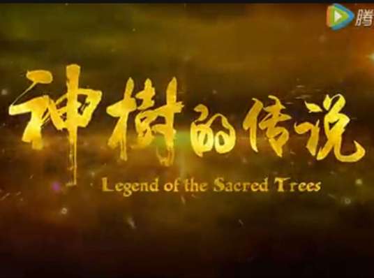 神树的传说_百度百科