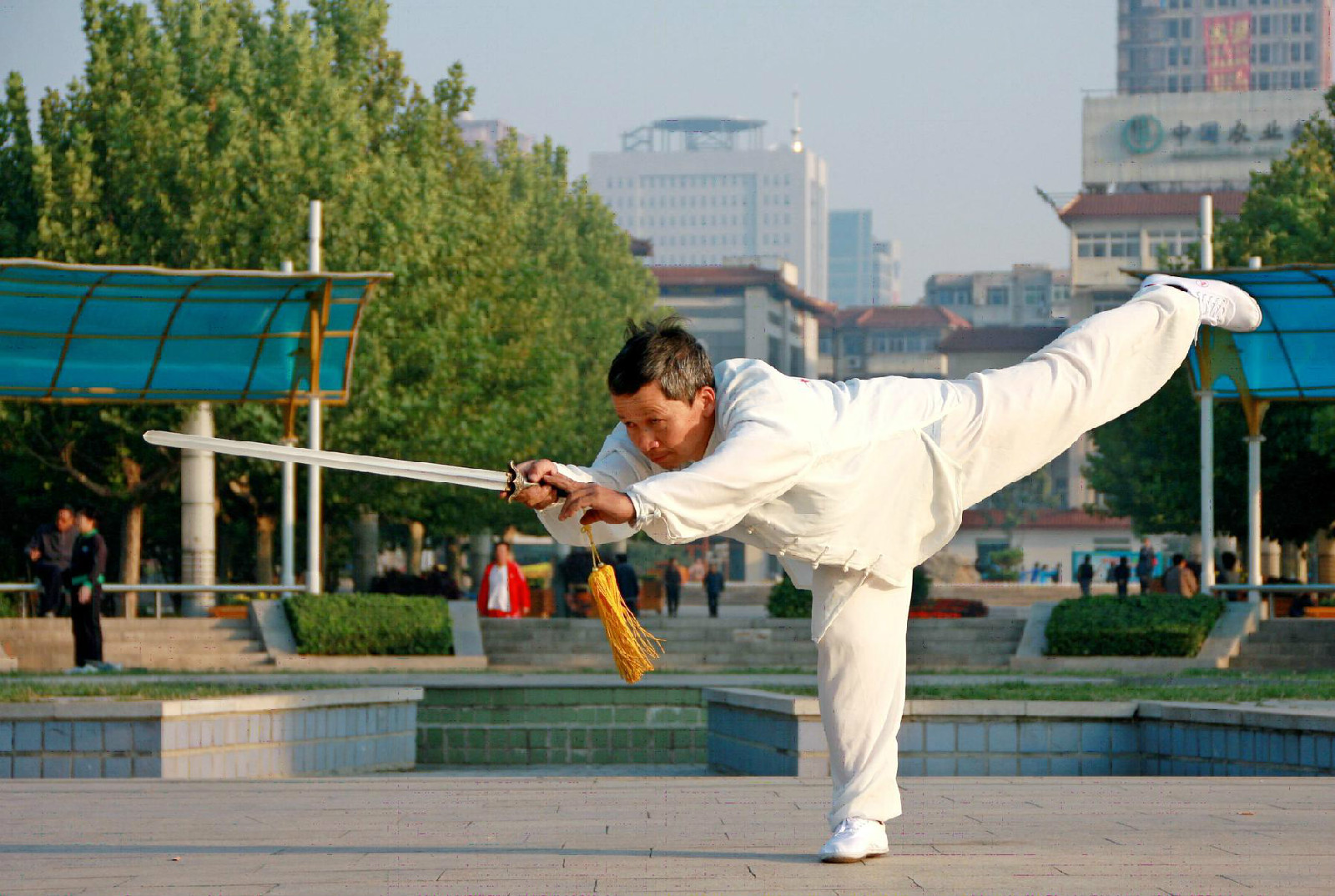 杨氏青萍剑