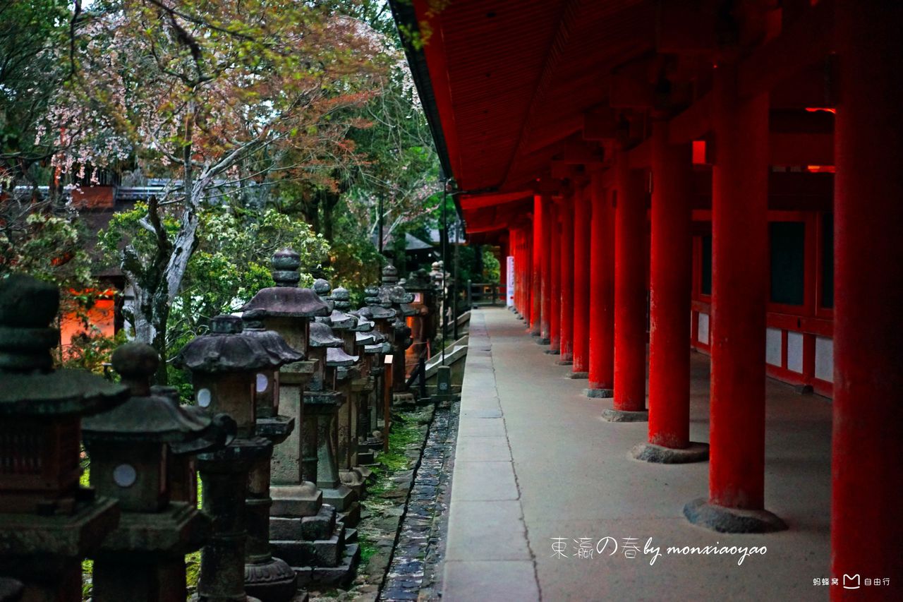 春日大社(かすがじんじゃ)是 a target="_blank" href="/item/奈良县