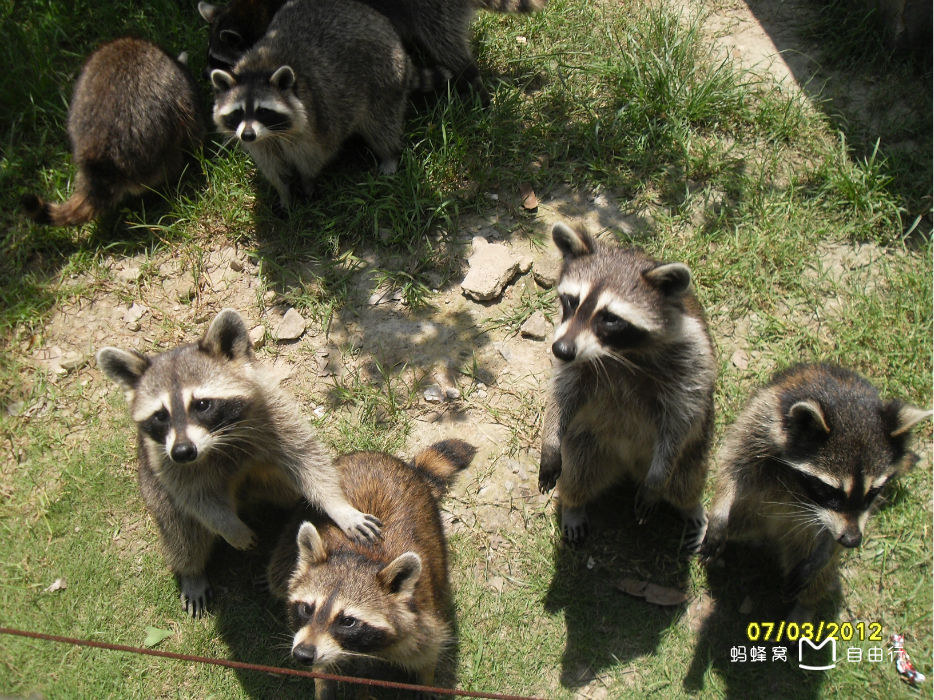 厦门海沧动物园