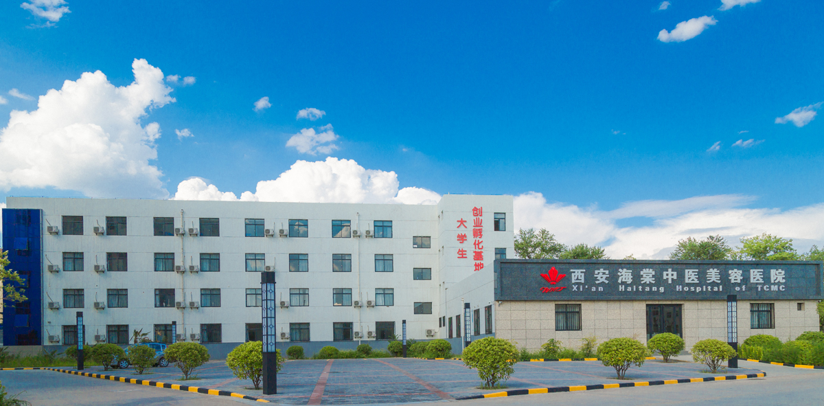 西安海棠学院