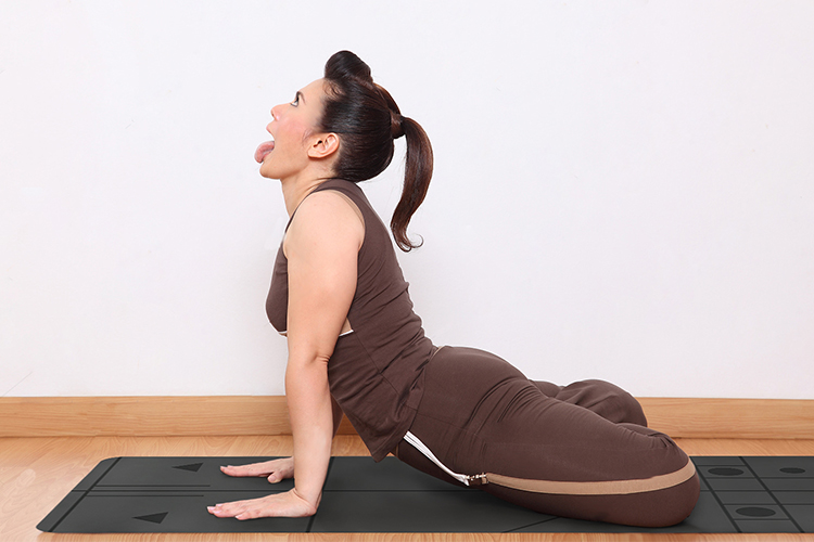  p data-id="gnavy67yf3">狮子式是哈他瑜伽体式之一,是常见的瑜伽体