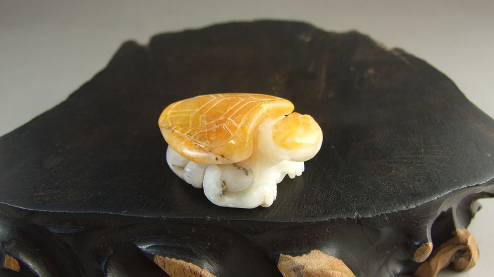  p> span class="ref" data-ctrid="sfrzvajw6khe">猪鼻龟(学名: 